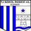 TJ Sokol Rosice nad Labem